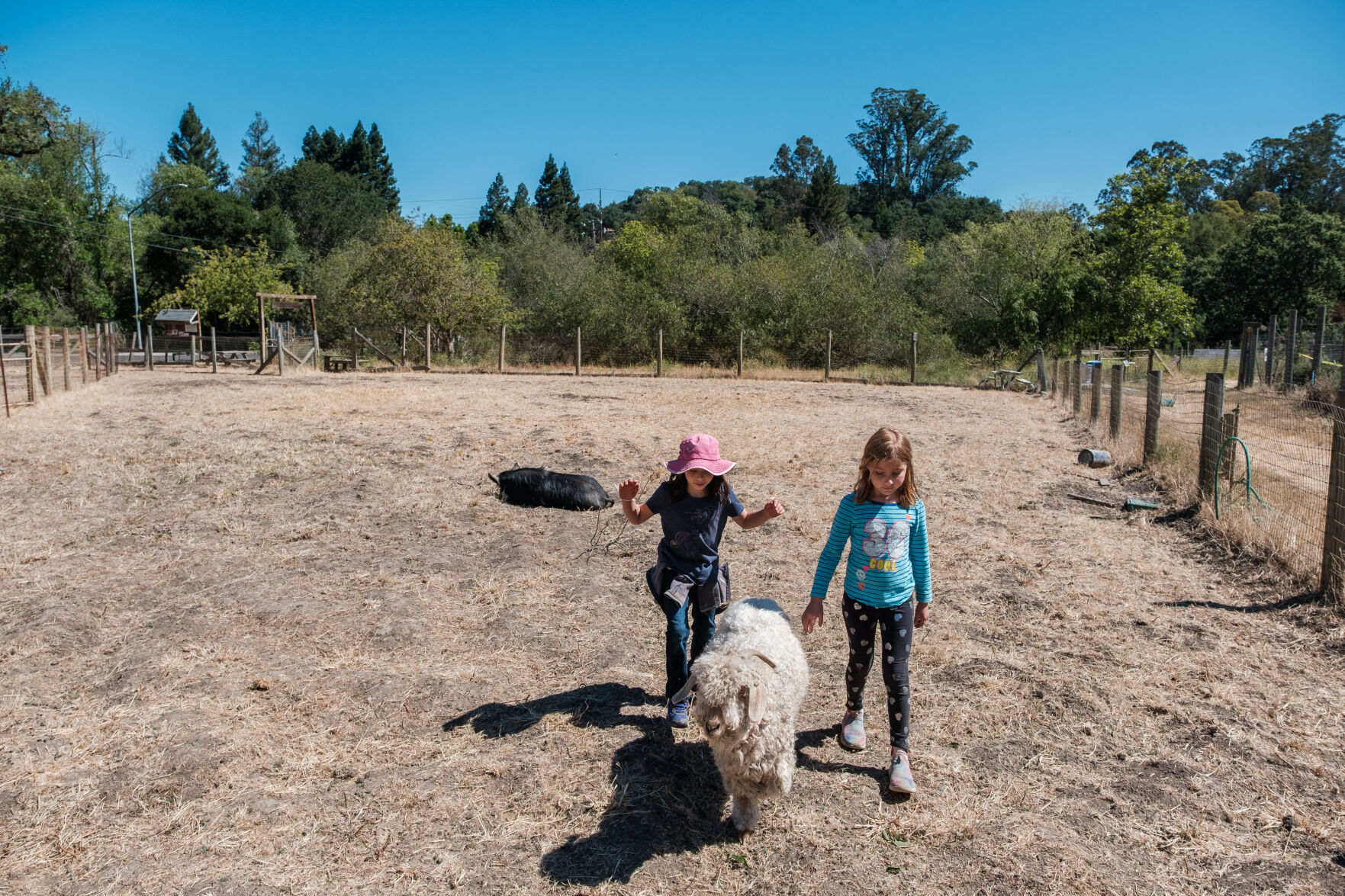 Connolly Ranch